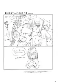 [観月堂] 電撃ラグナ (RO)