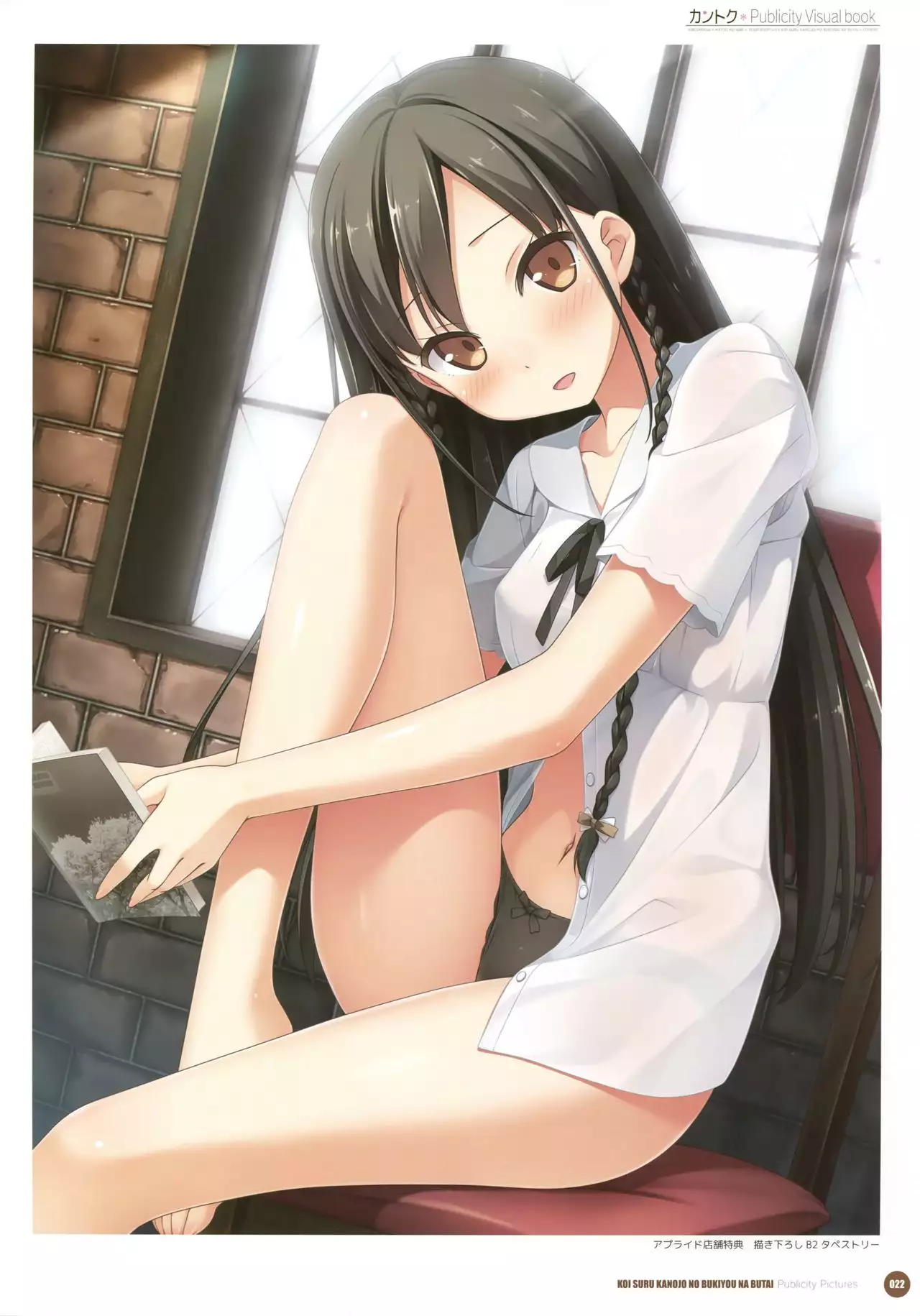 Kantoku Publicity Visual book