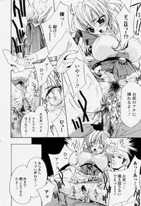 COMIC Momohime 2004-06