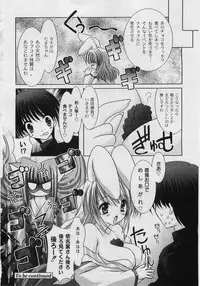 [ShikigamiAzuma]God Chome cat