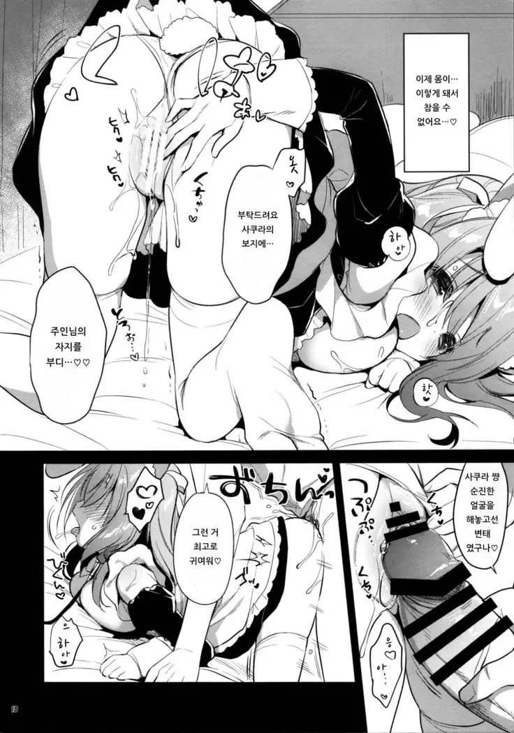 Ichinichi Pet -Sakura- | 일일 펫 -사쿠라-