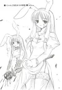 [観月堂] 電撃ラグナ (RO)