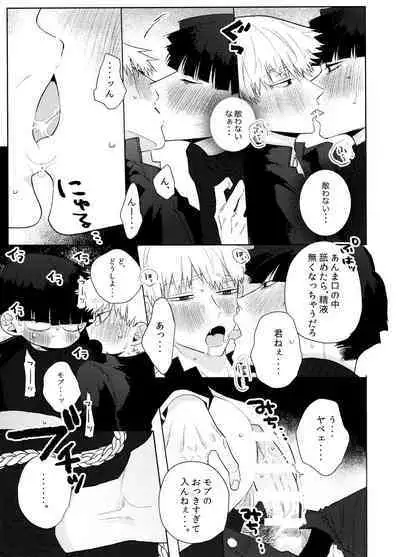 yokuwakaranai kara mōikkai itte moratte ī?