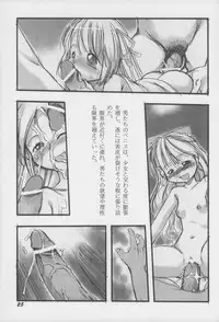 (C65) [P.A. Project (Teruki Kuma)] Youshoku San