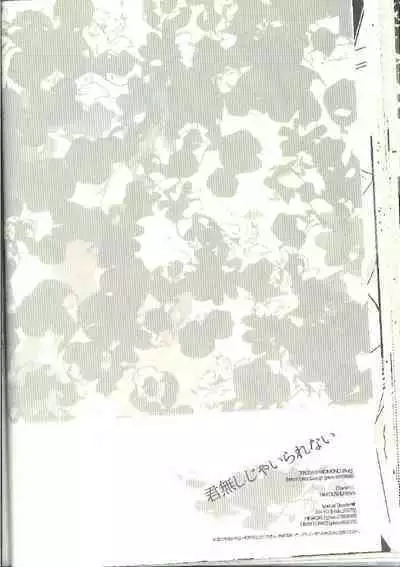 Kimi Nashi ja Irarenai