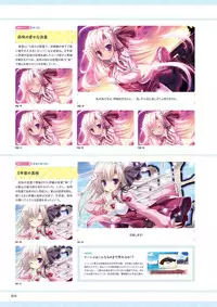 Unmei Senjou no φ Visual Fanbook