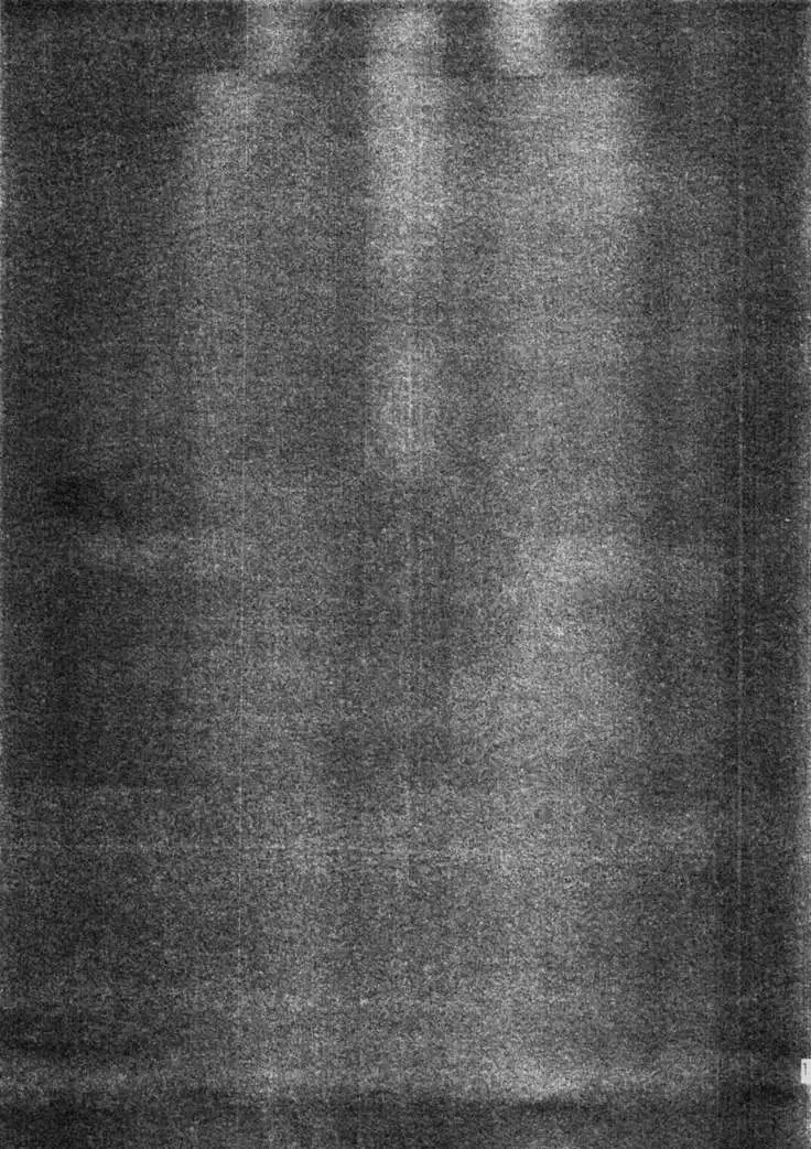 PITOU-NYAN × PITOU-NYAN