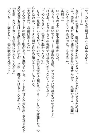 年上メイドの新婚日記