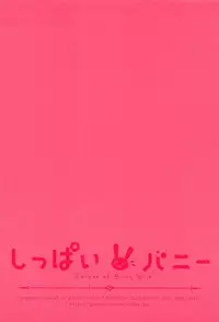 (C94) [Eccentric Girl (Asagiri Rira)] Shippai Bunny - Failure of Bunny Suit (Dragon Quest XI)