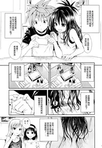 (C89) [40010 1-GO (Shimanto Shisakugata)] Tomodachi no Ecchi na Kyoudai Kankei (To Love-Ru) [Chinese] [脸肿汉化组]