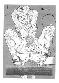 [NP Uirusu Jouryuujo] Mithman Report 2005 (Final Fantasy XI)