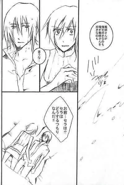 Final Fantasy 13 Fan book (cranberry hearts)