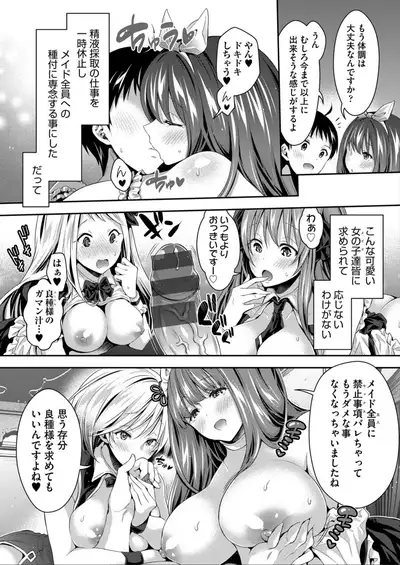Harem Maid No Damedame Ecchi