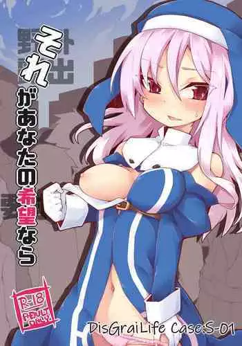 Sore ga Anata no Kibou nara DisGraiLife Case:S-01