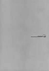 (SC32 (Ayano Naoto, Yasu Rintarou)) [Kaikinissyoku, YASRIN-DO] Mikuru Kurukuru (The Melancholy of Haruhi Suzumiya)