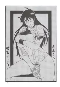 (C78) [Rippadou (Inugai Shin)] Goriman 5 (Various)