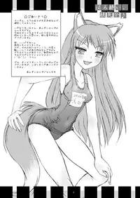 (Mimiket 18) [Anzu Syrup (Shoji Yatsuki)] Horo yoi, Ookami kibun (Spice and Wolf)