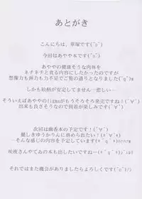 (C79) [Galaxy Monooki (Hanazuka Ryouji)] Bitch Spoiler (Touhou Project)