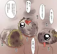 ラジコン（Chinese)