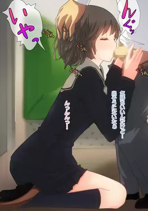 Akutoku Chikan Gekitai Seminar ~Higaisha o Kuimono ni Suru Koushuukai no Jittai~