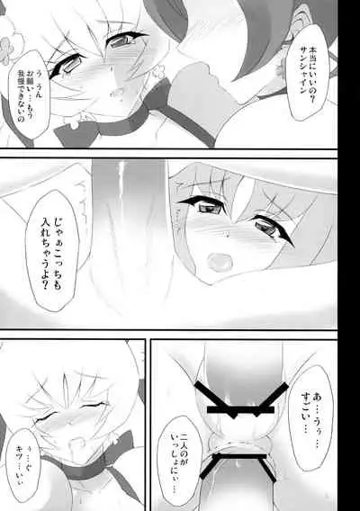 (C78) [Yumezakura (Yumemi)] Life of sunlight (Heart Catch Precure!)