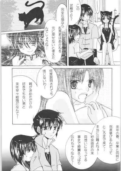 [RxA Supremacist (Yagami Raimu, Morisaki Yoshino, Kisaragi Mizuka)] Iinazuke ga Neko ni Narimashite. (Ranma 1/2)