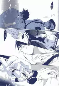 (Chousa Heidan no Renai Jijou) [AL (Shirayuri)] Heichou × Heichou (Shingeki no Kyojin)