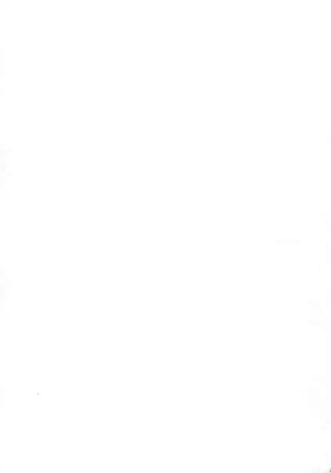 Arashi no Himeta Koigokoro