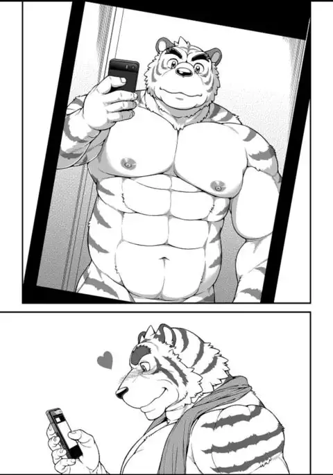 9animals MASSIVE TIGER