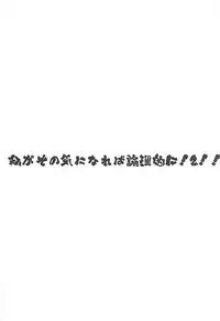 (C92) [Z-TABUKURONEKO HOUSE (Gyonikun)] Watashi ga sono Ki ni nareba Ronriteki ni! 2!! (Pokémon Sun and Moon)