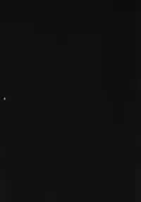 (AzuLan Musou) [Kinen Jumper (Akenami Yasutaka)] Shoukaku Damashii -SHOKAKU SPIRITS- (Azur Lane)