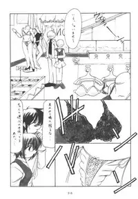 (CR30) [Takane no Hanazono (Takane no Hana)] Elopement (Sister Princess)