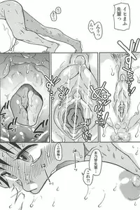 [Shiwasu no Okina] Peace Hame! Ge