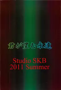 (C80) [BKS Studio (Ayasaka Mitsune)] Namida Tsuki Juuni (Kimi ga Nozomu Eien)