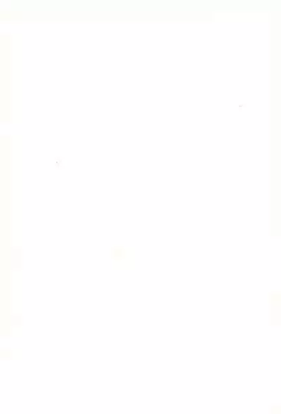 Nurunuru Shokushu Making