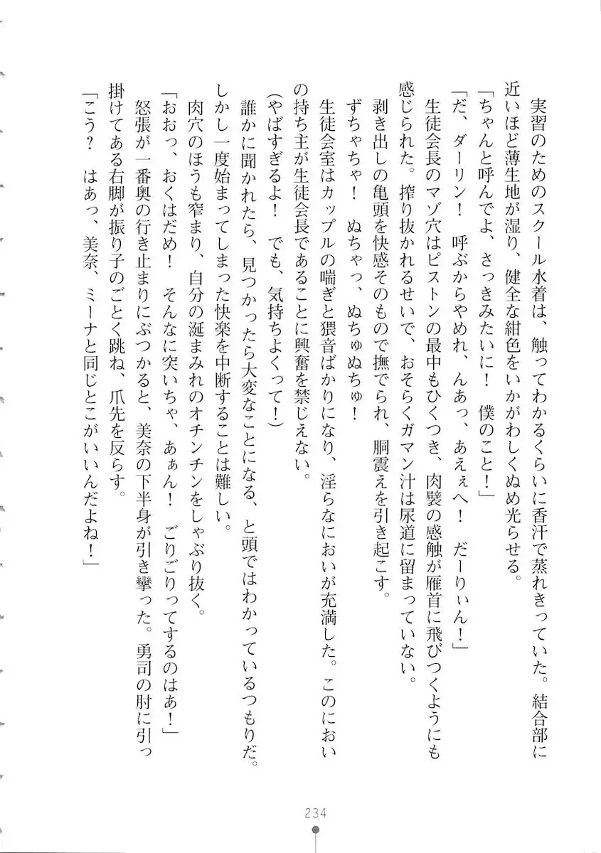 Netgame no Yome ga Seitokaichou Datta Ken ni Tsuite