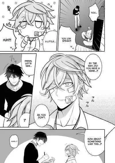 Falling for a Wounded Mermaid