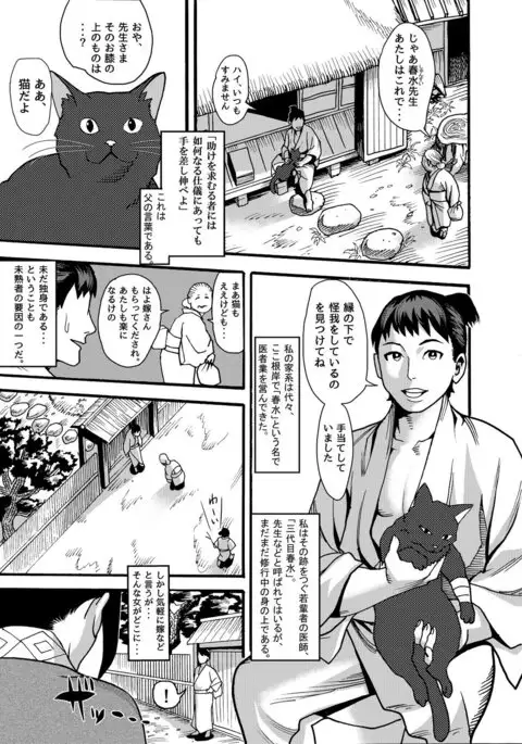 Mayoineko Kunoichi Nagare Ninpouchou