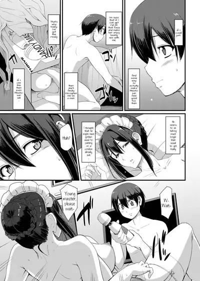 Maid no Oshigoto. III | Maid's Work III