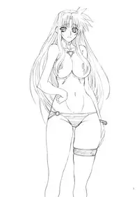 [Power Slide (Uttorikun)] Leaf Of Green 11 (Mahou Shoujo Lyrical Nanoha StrikerS) [Digital]