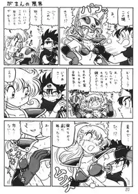 (C57) [Niitakayama Tozan (Niiyama Takashi)] Botulinus Kin Medapani (Dragon Quest)