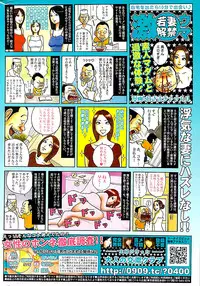 COMIC Shitsurakuten 2009-02