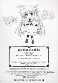 (SC40) [PLUM (Kanna)] Mahou Shoujo MAGICAL SEED No.Due (Mahou Shoujo Lyrical Nanoha