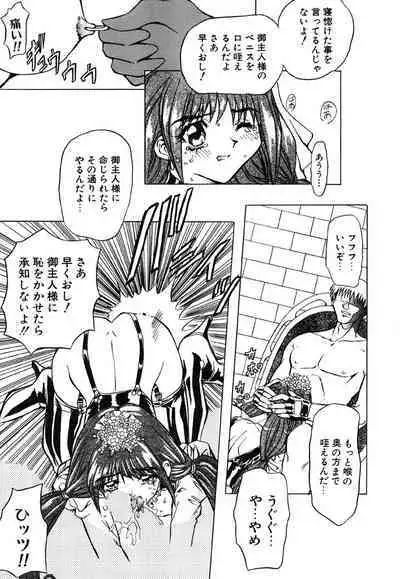 [MARO] Contact [Digital]