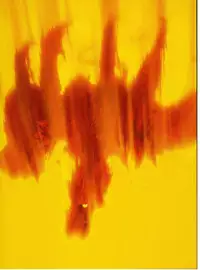 [TYPE-MOON (Takeuchi Takashi)] Fate/stay nigh FAKE Avalon(fate/stay night)t(chinese)