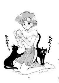 (C42) [Ringodou (Manda Ringo)] Usagi-chan Namahonban Ippatsu Shoubu (Bishoujo Senshi Sailor Moon)