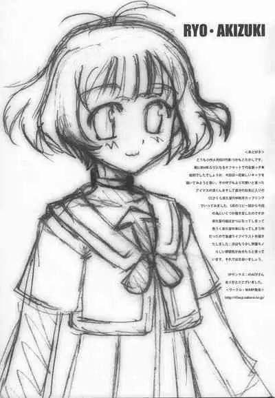 SHEMALELOVERS Vol.14