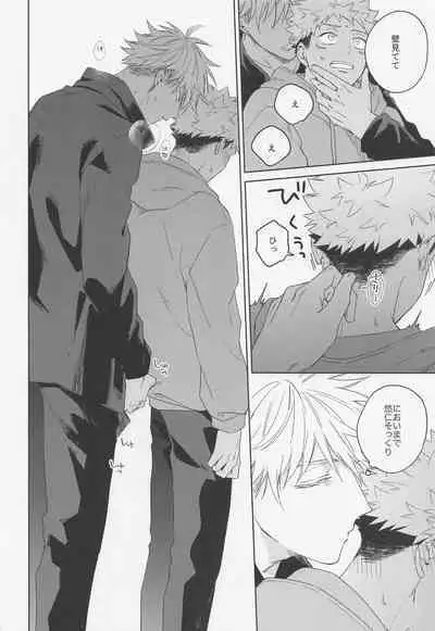 Lovely Hallucination