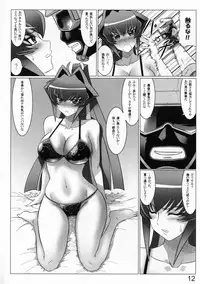 (C81) [Leymei] Midnight Terrorist (Muv-Luv)