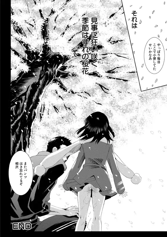 Aidoru nikutai kensa